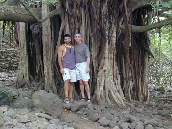 Kirk and marco under the banyan tree[1]